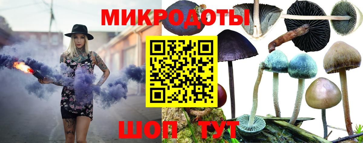 Галлюциногенные грибы мицелий  Вход с VPN  Таганрог  Галлюциногенные грибы Psilocybine cubensis 
